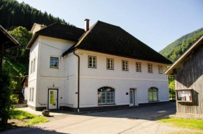 Wohnung im Nationalpark Kalkalpen mit Badeplatz